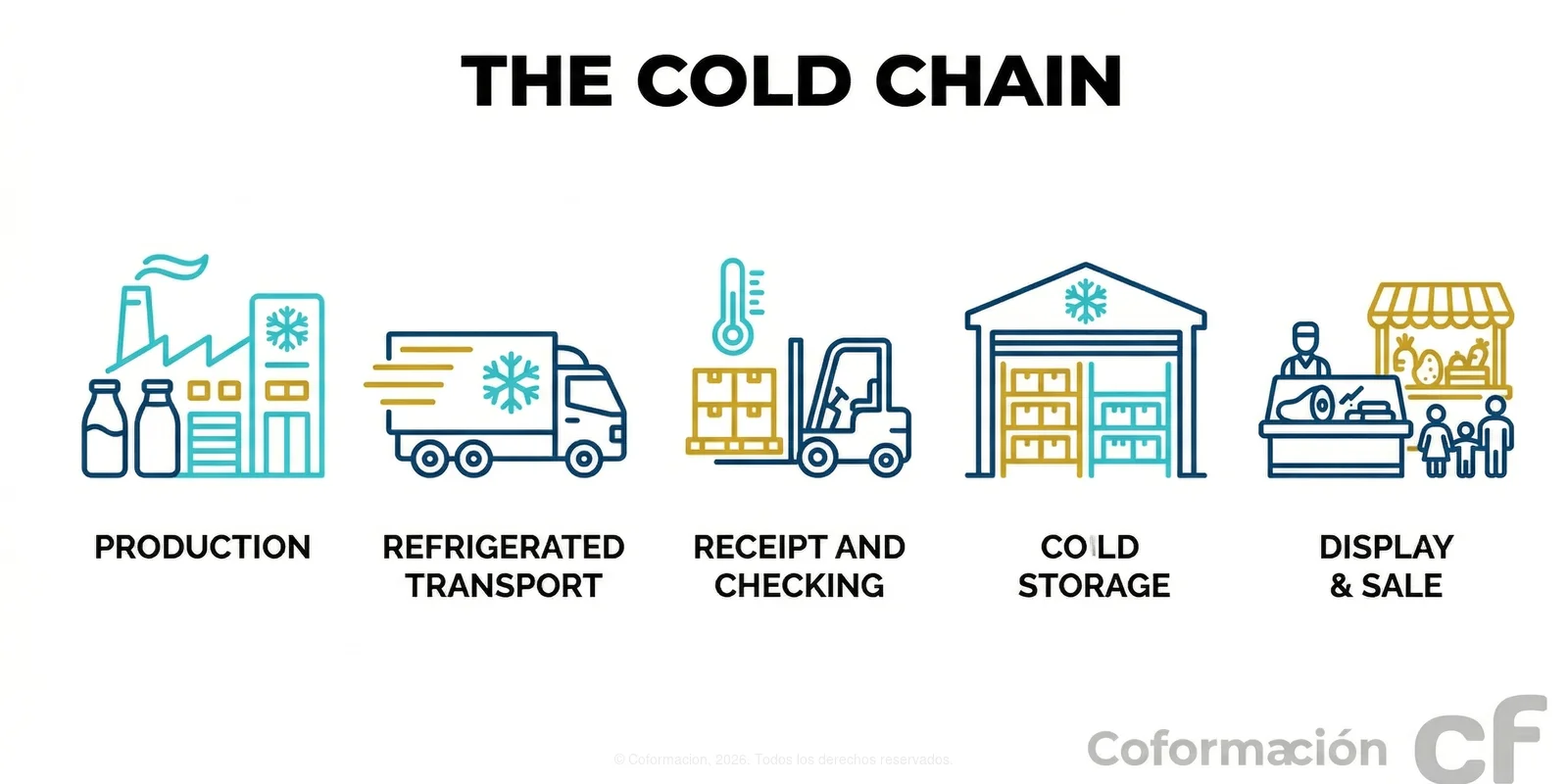 The Cold Chain - Coformación
